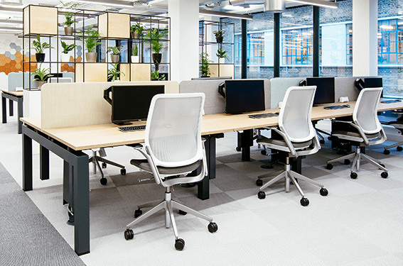 A modern office space with Eva task chairs